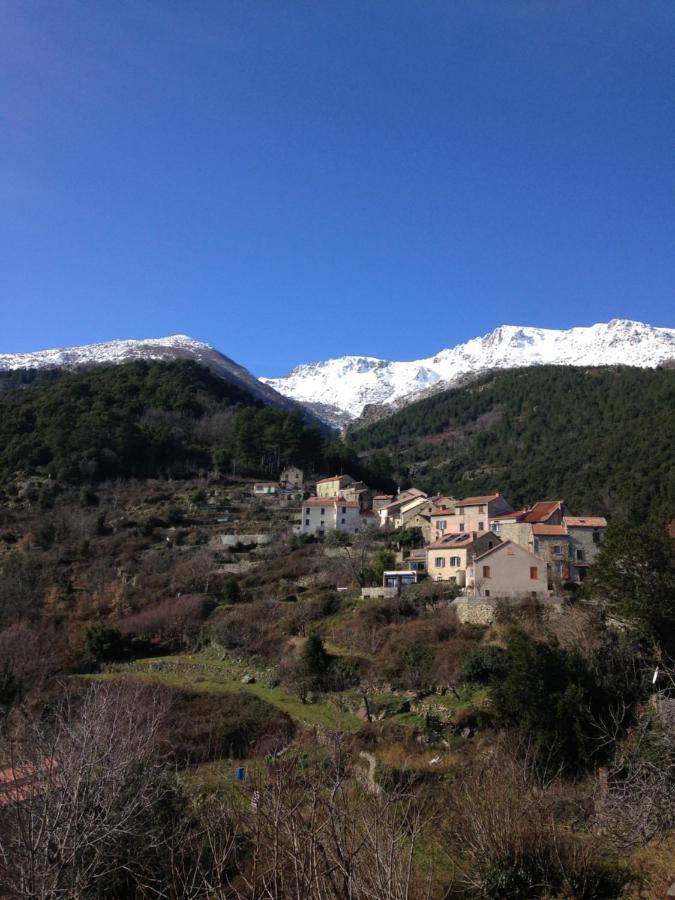 A.Casetta Santo-Pietro-di-Venaco Esterno foto