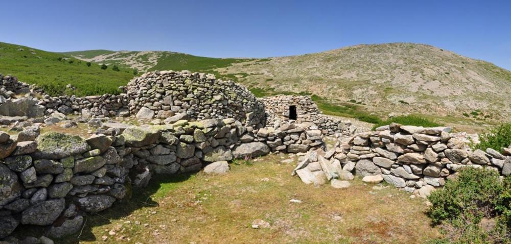 A.Casetta Santo-Pietro-di-Venaco Esterno foto